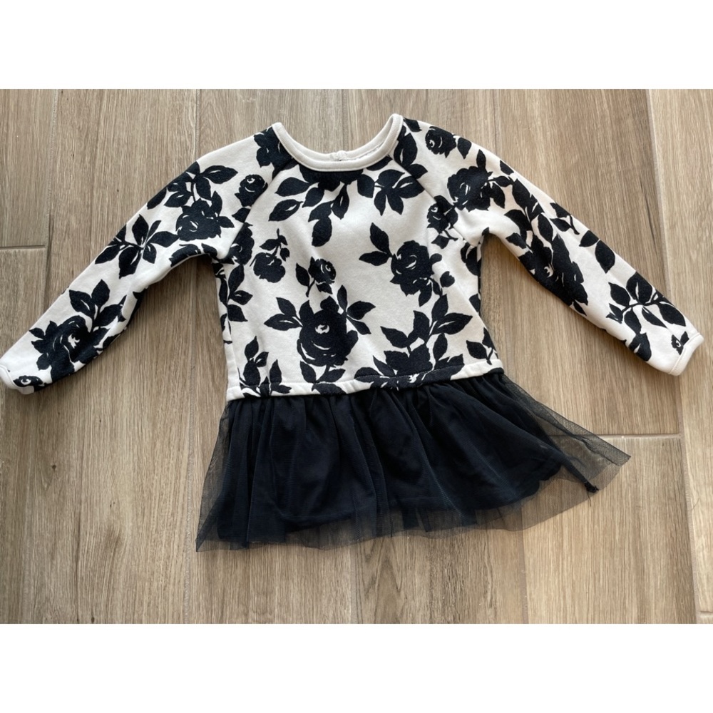Carter’s tunic with tutu size 3T